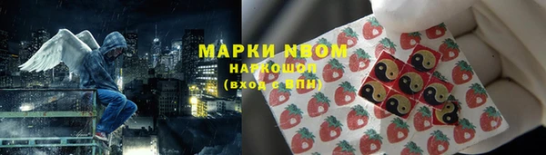 бошки Алексин