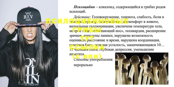 соль ск Алексеевка