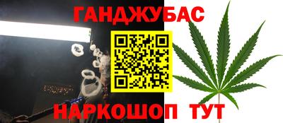крисы Пыть-Ях