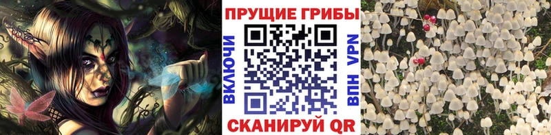 Псилоцибиновые грибы Magic Shrooms  где продают наркотики  МЕГА как зайти  Ханты-Мансийск 