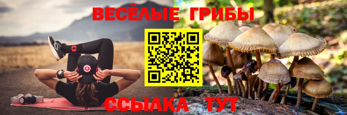 Ханты-Мансийск  Псилоцибиновые грибы Psilocybine cubensis  Вход с VPN 